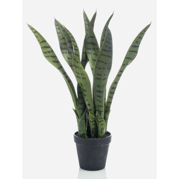 Umělá rostlina Sansevieria POLIANA, zelená, 50cm