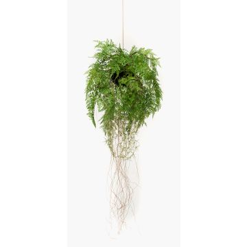 Umělá bostonská kapradina NILO, k zavěšení, v zemině, kořeny, 70cm, Ø35cm
