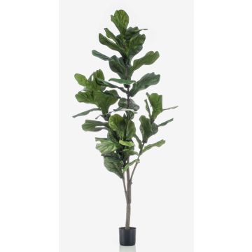 Umělý Ficus Lyrata ENRIKO, umělý stonek, zelený, 150 cm
