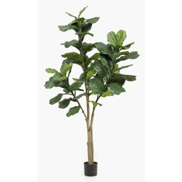 Umělý Ficus Lyrata ENRIKO, umělý stonek, zelený, 180 cm