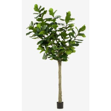 Umělá Ficus Lyrata ENRIKO, umělá stonka, zelená, 300 cm