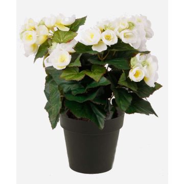 Umělá begonia DOBRADA, krémová, 30cm, Ø8-10cm Umělá begonia DOBRADA, krémová, 30cm, Ø8-10cm