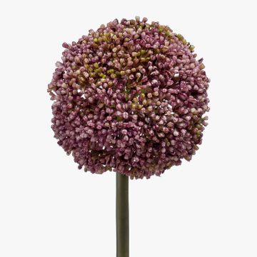 Plast Allium BOUTROS, fialový, 75cm, Ø9cm