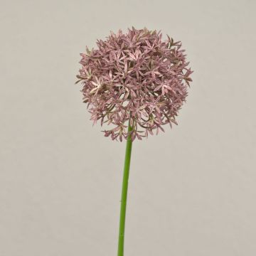 Umělé Allium ARNAU, růžové, 60cm, Ø10cm Umělé Allium ARNAU, růžové, 60cm, Ø10cm