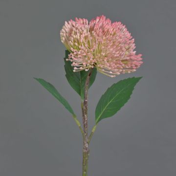 Plastový květ Sedum JICAMA, růžový, 45cm