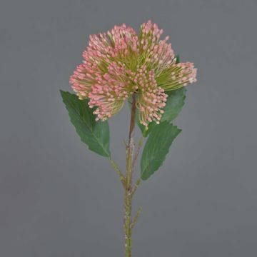 Plastový květ Sedum JICAMA, růžovo-bílý, 45cm