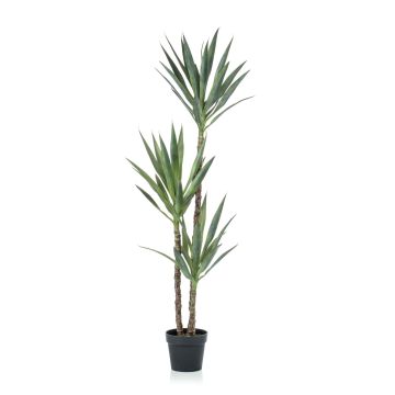 Umělá yucca FRONTEIRA, 150 cm