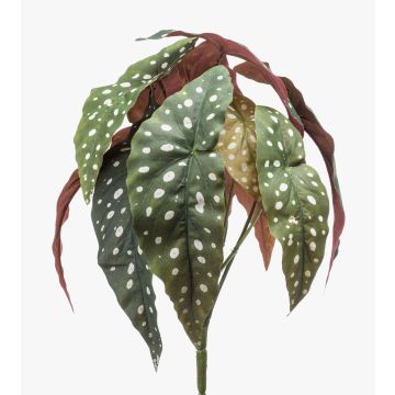 Umělý pstruh Begonia ELISEIA na tyči, zeleno-bílý, 30cm Umělý pstruh Begonia ELISEIA na tyči, zeleno-bílý, 30cm