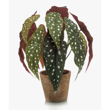Umělý pstruh Begonia ELISEIA, terakotový hrnec, zeleno-bílý, 30cm Umělý pstruh Begonia ELISEIA, terakotový hrnec, zeleno-bílý, 30cm