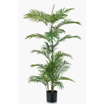 Umělá palma areca PRIMO, 120cm
