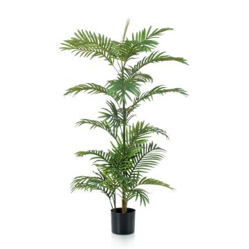 Umělá palma areca PRIMO, 120cm