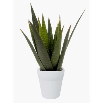 Umělá aloe variegata MARTINEZ, keramický květináč, zelená barva, 30cm, Ø17cm