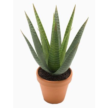 Umělá aloe variegata MARTINEZ, hliněný květináč, zelená barva, 30cm, Ø17cm