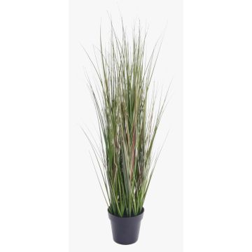 Plastová psárka SAMMI, zelený, 65cm