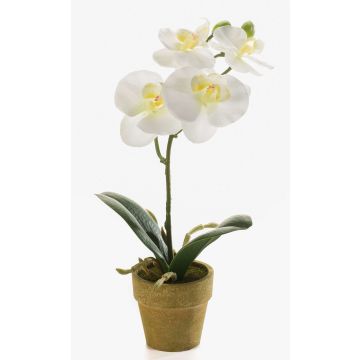 Umělá orchidej phalaenopsis SETH v dekorativním květináči, krémová, 25cm