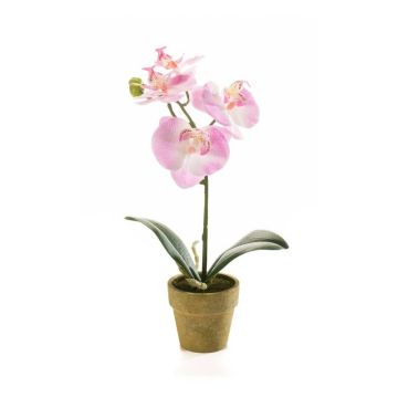 Umělá orchidej phalaenopsis SETH v dekorativním květináči, růžová, 25cm Umělá orchidej phalaenopsis SETH v dekorativním květináči, růžová, 25cm