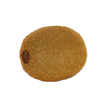 Art kiwi GIANNO, hnědozelené, 6cm, Ø4cm