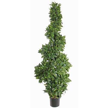 Umělá třešeň vavřínová spirála AMBER, skutečná stopka, 165cm Umělá třešeň vavřínová spirála AMBER, skutečná stopka, 165cm