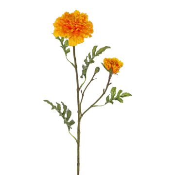 Měsíček umělecký ASTIE, oranžový, 65cm, Ø5-9cm