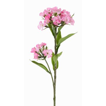 Umělý karafiát ARCHIE, růžový, 60cm, Ø8-14cm Umělý karafiát ARCHIE, růžový, 60cm, Ø8-14cm