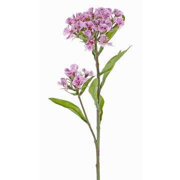 Umělý karafiát ARCHIE, fuchsiovo-růžový, 60cm, Ø8-14cm Umělý karafiát ARCHIE, fuchsiovo-růžový, 60cm, Ø8-14cm
