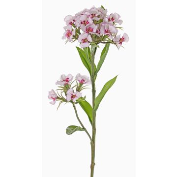 Umělý karafiát ARCHIE, krémově růžový, krémovo-fuchsiový, 60cm, Ø8-14cm Umělý karafiát ARCHIE, krémově růžový, krémovo-fuchsiový, 60cm, Ø8-14cm