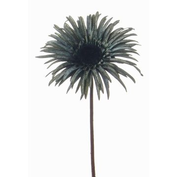 Umělá gerbera SIEDA, modrozelená, 65cm, Ø12cm Umělá gerbera SIEDA, modrozelená, 65cm, Ø12cm