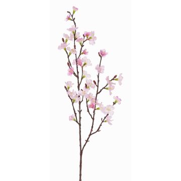 Větev z umělého třešňového květu ARIELLE s květinami, růžová, růžovo-fuchsiový, 75cm, Ø1,5-3,5cm Větev z umělého třešňového květu ARIELLE s květinami, růžová, růžovo-fuchsiový, 75cm, Ø1,5-3,5cm