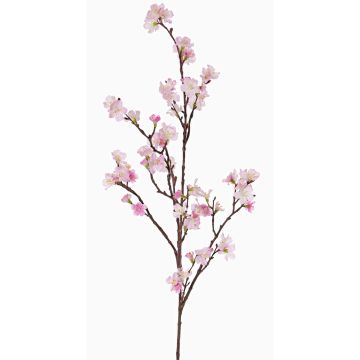 Větev z umělého třešňového květu ARIELLE s květinami, růžová, růžovo-fuchsiový, 100cm, Ø1,5-3,5cm Větev z umělého třešňového květu ARIELLE s květinami, růžová, růžovo-fuchsiový, 100cm, Ø1,5-3,5cm