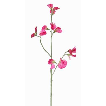 Umělá květina Lathyrus ASFALOTH, tmavě růžová, 65cm, Ø3-5cm Umělá květina Lathyrus ASFALOTH, tmavě růžová, 65cm, Ø3-5cm