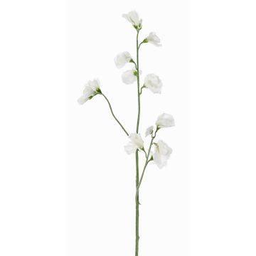 Umělá květina Lathyrus ASFALOTH, bílá, 65cm, Ø3-5cm Umělá květina Lathyrus ASFALOTH, bílá, 65cm, Ø3-5cm