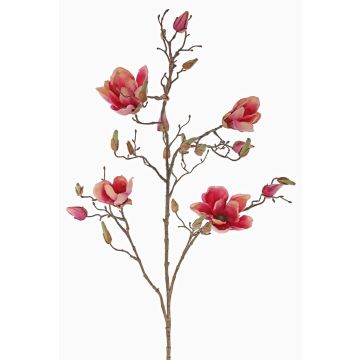 Umělá magnólie LORA, fuchsiovo-růžová, 110cm, Ø10-12cm Umělá magnólie LORA, fuchsiovo-růžová, 110cm, Ø10-12cm
