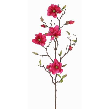 Umělá magnólie MARGA, fuchsiová, 80cm, Ø7-8cm Umělá magnólie MARGA, fuchsiová, 80cm, Ø7-8cm