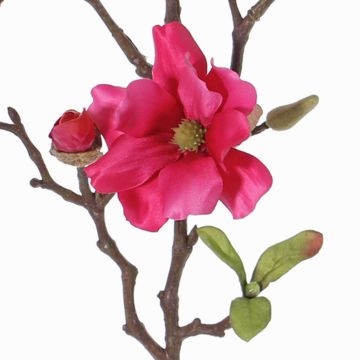 Umělá magnólie MARGA, fuchsiová, 80cm, Ø7-8cm Umělá magnólie MARGA, fuchsiová, 80cm, Ø7-8cm