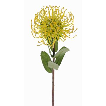 Umělá Protea BAILY, žluto-zelená, 55cm, Ø10cm Umělá Protea BAILY, žluto-zelená, 55cm, Ø10cm