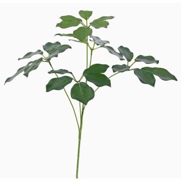 Umělá větev Schefflera CAPONE, crossdoor, zelená, 50cm Umělá větev Schefflera CAPONE, crossdoor, zelená, 50cm