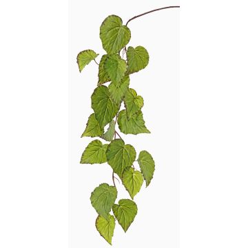 Umělá listová begonie KATRICE, zeleno-červená, 110cm Umělá listová begonie KATRICE, zeleno-červená, 110cm