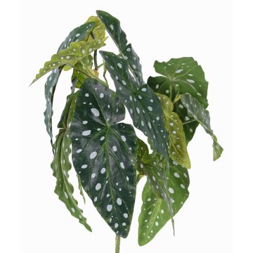 Umělý pstruh Begonia HANSE na tyči, zeleno-bílý, 40cm Umělý pstruh Begonia HANSE na tyči, zeleno-bílý, 40cm