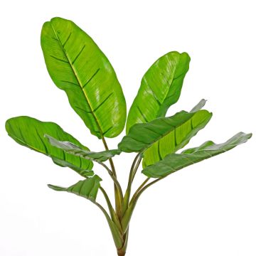 Umělý banánovník LITTY na zápichu, crossdoor, 55cm