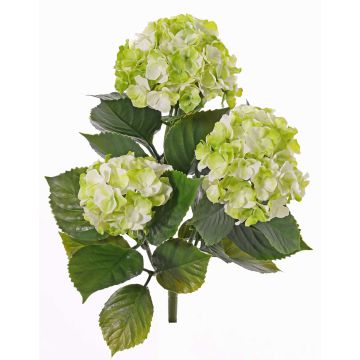 Umělá hortenzie SAIRA, zápich, pro interiér i exteriér, zelená-krémová, 40cm, Ø11-13cm Umělá hortenzie SAIRA, zápich, pro interiér i exteriér, zelená-krémová, 40cm, Ø11-13cm