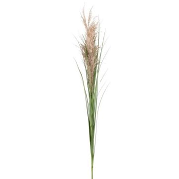 Ozdobný rákos s latami, zeleno-béžový, 135cm Ozdobný rákos s latami, zeleno-béžový, 135cm