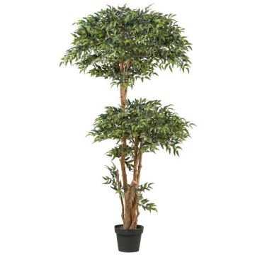 Umělý strom Ruscus NEOSHO v dekorativním květináči, přírodní kmeny, 170cm Umělý strom Ruscus NEOSHO v dekorativním květináči, přírodní kmeny, 170cm
