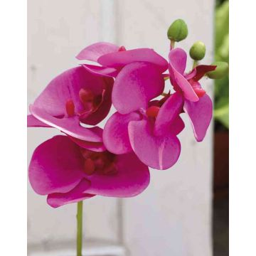 Umělá větvička orchideje phalaenopsis OPHELIA, tmavě růžová, 40cm