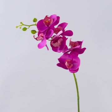 Umělá větvička orchideje Phalaenopsis OPHELIA, růžová, 80cm Umělá větvička orchideje Phalaenopsis OPHELIA, růžová, 80cm