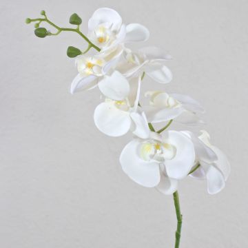 Umělá větvička orchideje Phalaenopsis OPHELIA, bílá, 80cm Umělá větvička orchideje Phalaenopsis OPHELIA, bílá, 80cm