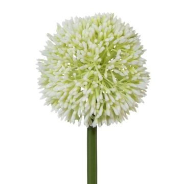 Dekorativní květina Allium MENKES, bílá, 65cm Dekorativní květina Allium MENKES, bílá, 65cm