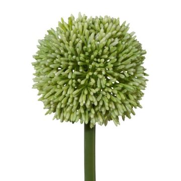 Dekorativní květ Allium MENKES, zelený, 65cm Dekorativní květ Allium MENKES, zelený, 65cm