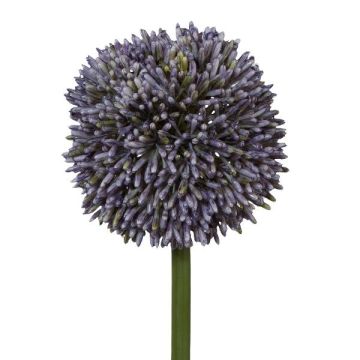 Dekorativní květ Allium MENKES, fialový, 65cm