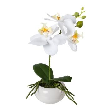 Plastová květina orchidej Phalaenopsis KASDA, keramická miska, kořeny, bílá, 27cm