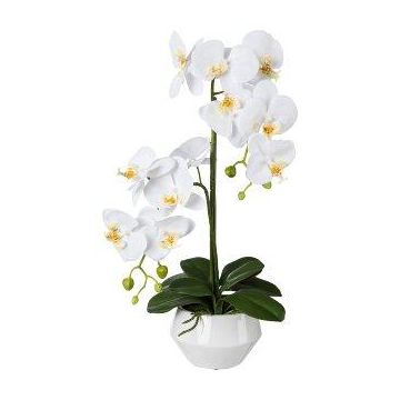 Plastová květina orchidej Phalaenopsis KASDA, keramický květináč, kořeny, bílá, 50cm